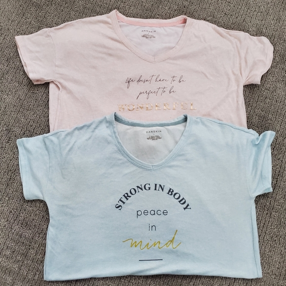 Danskin Other - Danskin Womens sleep shirts, size large, pink and blue, set of 2